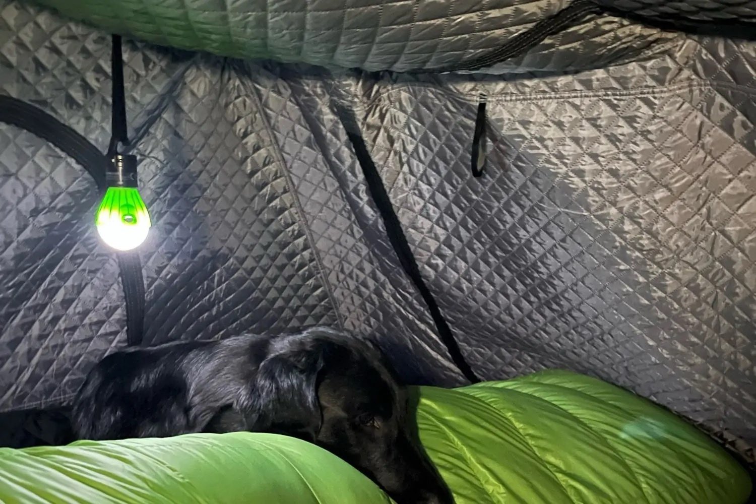 Moby Mountain Thermo-Innenzelt